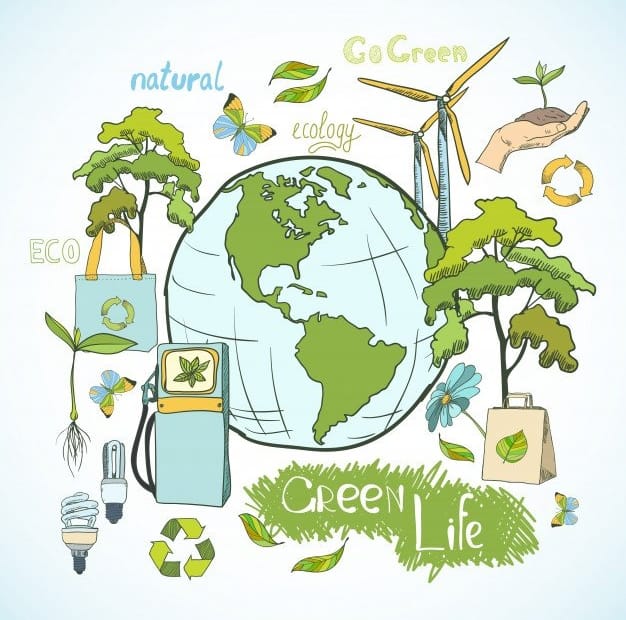 Balancing Ecology and Design