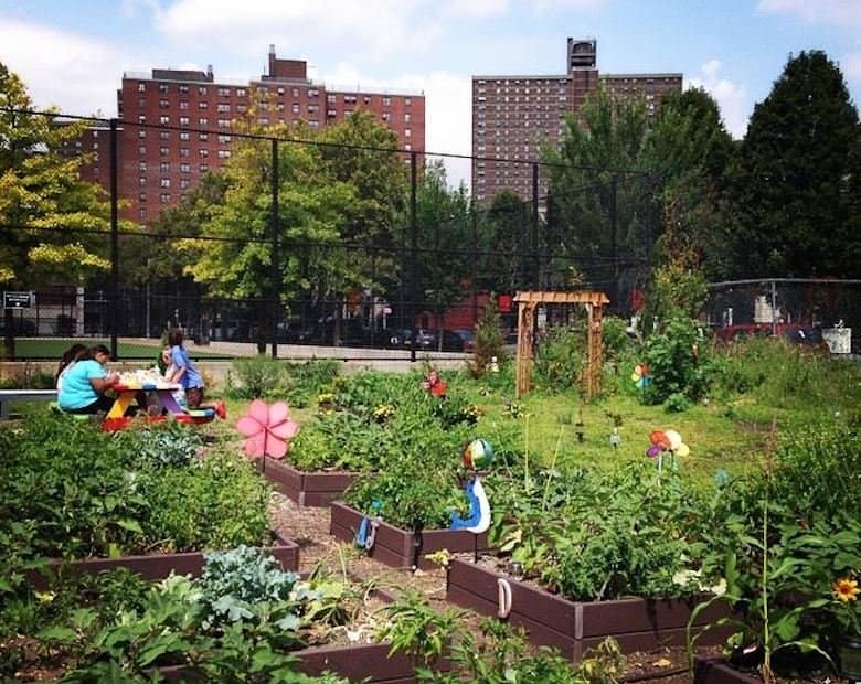 Edible Public Spaces