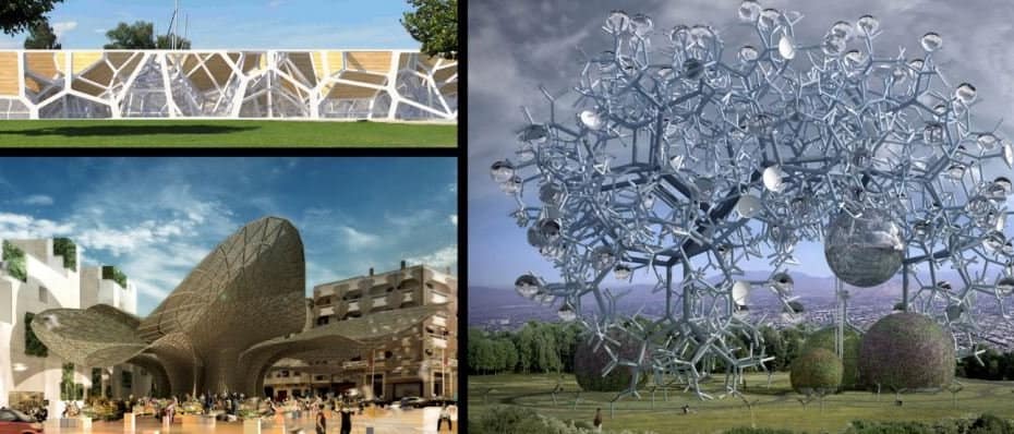 Genetics And Architecture